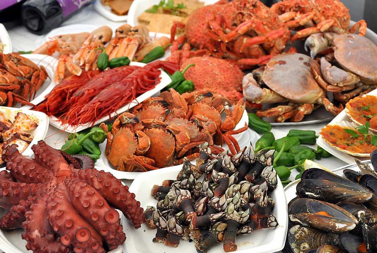 Gastronomía y bodegas en Galicia