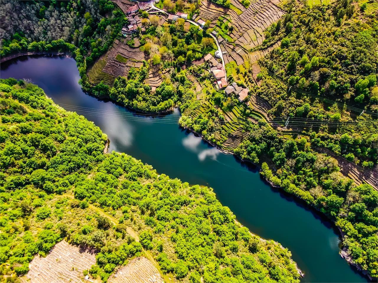 Vista aérea de los viñedos en bancales de la Ribeira Sacra sobre el cañón del río Sil